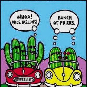 Funny cartoons - Cactus shouting at a per of melons