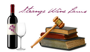 Famous Wine Quotes Funny Traditional wine quotes
