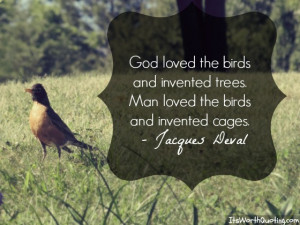 Bird Quotes: A Unique Collection of Quotes About Birds.