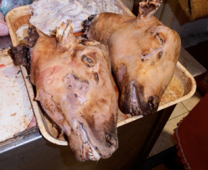 ... without you a long time after you're gone. ~ Willie Nelson #quote