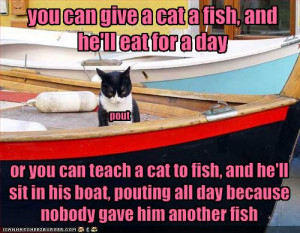 Cats and fish go together like ...well, the cats like it, the fish ...