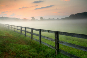 Foggy Morning in Maryland