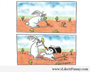 Funny spring quotes and images 2014