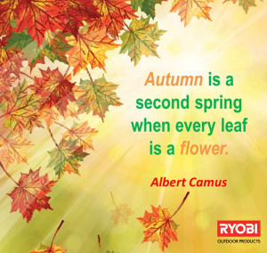 Loving #autumn and the beautiful colors!