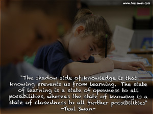 Shadow Side of Knowledge Quote