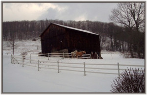 Tomand Marsha Neizmik are long-time friends who live on a farm in the ...