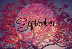 ... hello, memories, music, n, pink, quotes, sayings, september, spring