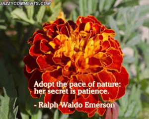 Nature quotes, love nature quotes, mother nature quotes, famous nature ...