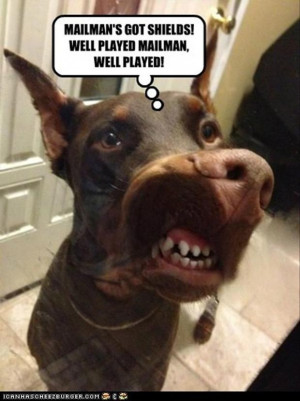 tagged with funny dog pictures 40 pics funny pictures