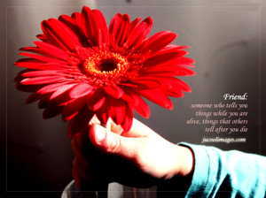 ... spanish friendship quotes ltb gt spanish friendship friendship quotes