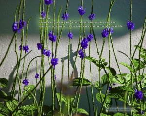 Christian Life Quotes Wallpaper Hd Christian Quotes Wallpaper ...