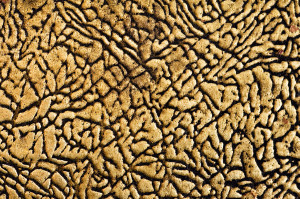 related quotes for metallic bronze here are list of metallic bronze ...