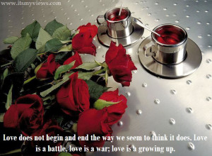 Latest Most Beautiful Red Rose Pictures with Romantic Love Quotes 2013