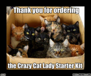 Thank You For Ordering Cat Meme