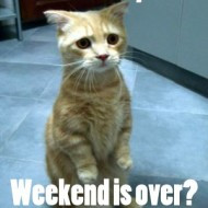 Weekend Is Over You say weekend is over