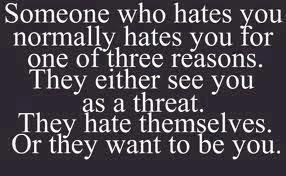 Reasons people hate you funny quote