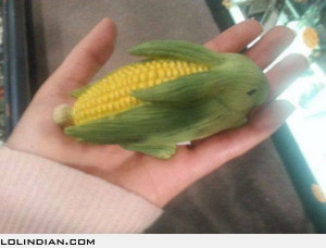 Rabbit shaped corn