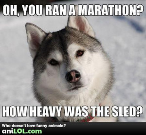 Funny Husky Pictures Quotes