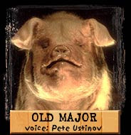 Old Major - The most well-respected animal on the farm. Humans were ...