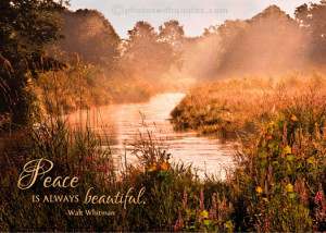 Peace Quote 031 - Peace is always beautiful - Walt Whitman