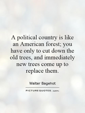 Political Quotes Walter Bagehot Quotes