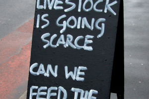 local butcher on recession 25 Funny Pictures With Sayings You Should ...