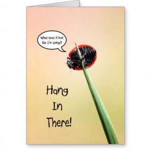 Cute Hang In There Ladybug Greeting Card