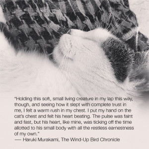 ... Living Creature In My Lap This Way… - Haruki Murakami ~ Cat Quotes
