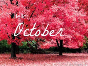 ... and october is already here i don t know about you but i love october