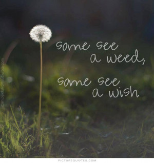 Some see a weed, some see a wish. Picture Quote #1