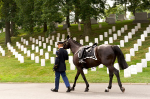 ... stirrup being led in Funeral Procession at Arlington National Cemetery