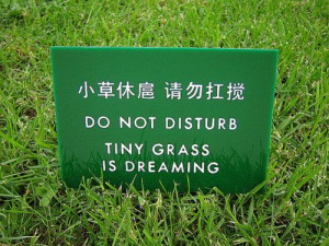Signs lost in translation...This is the cutest sign ever...Tiny grass ...