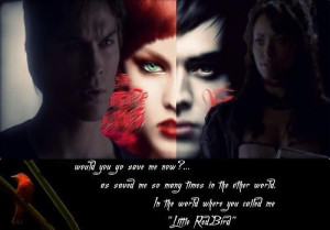 Damon and Bonnie book quote The Vampire Diaries