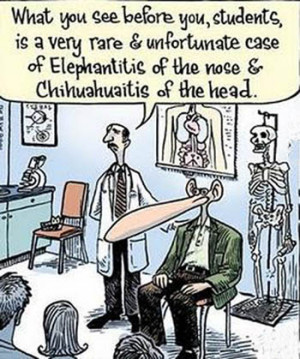 ... Chihuahua pictures. Send me a picture of yours to add to this