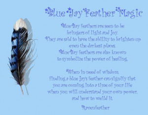 Blue bird feathers ...