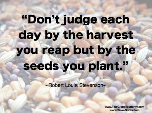 Planting Seeds Quotes Planting seeds for passive