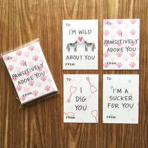 ... > Products > Sweet Sayings Mini Valentine's Day Assorted Card Pack