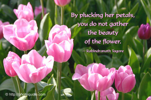 Sayings, Quotes: Rabindranath Tagore