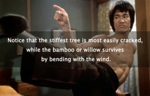 ... Quotes on Mastery, Martial Arts & Consciousness :- The Mind Unleashed