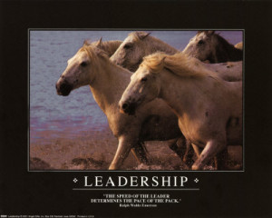 leadership and horses leadership and horses