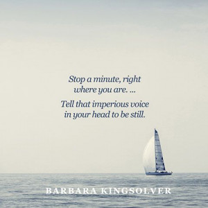 ... Barbara KingsolverMinute, Kingsolver Quotes, Destress Quotes, Genius