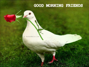 Good Morning Friends | Have a Nice Tuesday | Daily Quotes