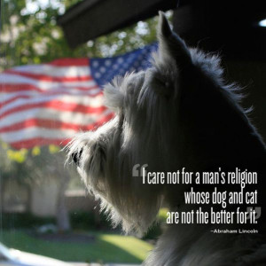 Cool Quotes That Will Make You Appreciate Your Pets