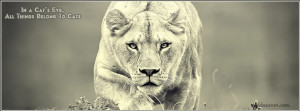 Lioness Facebook Cover