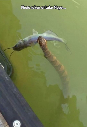 Welcome to the World of Nope (21 Pics)
