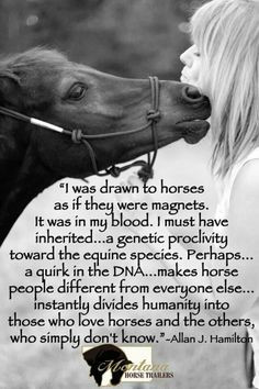 Horse quotes and sayings