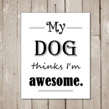 ... dog quotes, Funny dog sayings, I am awesome quotes, Dog artwork, Dog