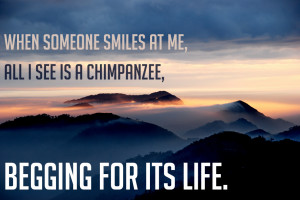 If Dwight Schrute Quotes Were Motivational Posters