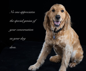 Location portraits are $295.00 although this could take the form of a ...