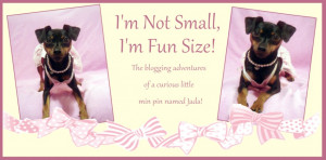 Im Not Short Im Fun Sized Quotes I'm not small, i'm fun size!